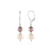 Akoya Pearl Silver Earrings