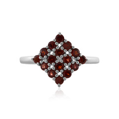 Mozambique Garnet Silver Ring