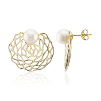 White Freshwater Pearl Silver Earrings (TPC)