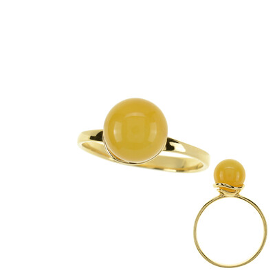 Baltic Amber Silver Ring (dagen)