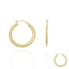 9K Gold Earrings