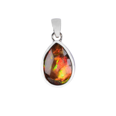 Ammolite Silver Pendant