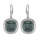 Fuchsite Silver Earrings (dagen)