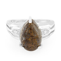 Dinosaur Bone Silver Ring