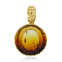 Baltic Amber Silver Pendant