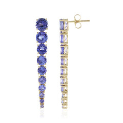 9K AAA Tanzanite Gold Earrings (de Melo)