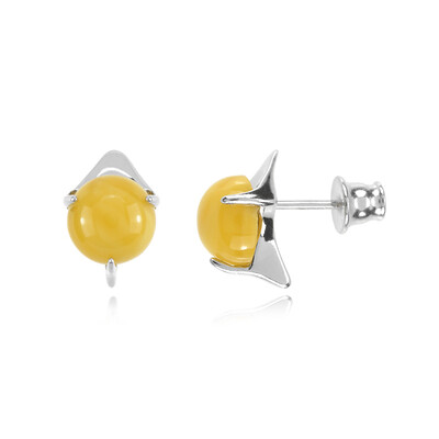 Baltic Amber Silver Earrings (dagen)