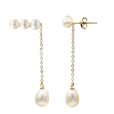 Freshwater pearl Silver Earrings