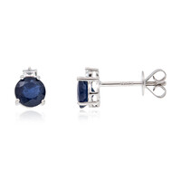 14K Ceylon Blue Sapphire Gold Earrings (CIRARI)