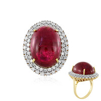 14K Rubellite Gold Ring (AMAYANI)