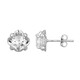 White Topaz Silver Earrings