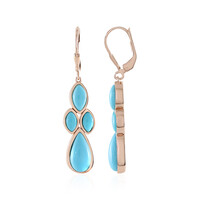 Sleeping Beauty Turquoise Silver Earrings (KM by Juwelo)