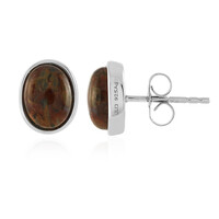 Golden Pietersite Silver Earrings