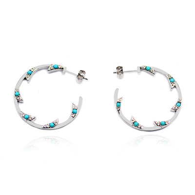 Sleeping Beauty Turquoise Silver Earrings (Anne Bever)