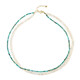 Turquoise Silver Necklace