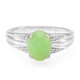 Imperial Chrysoprase Silver Ring