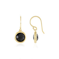 Black Onyx Silver Earrings