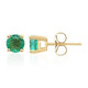 10K AAA Zambian Emerald Gold Earrings