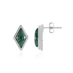 Malachite Silver Earrings