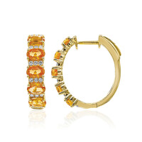 14K Mandarin Garnet Gold Earrings (CIRARI)