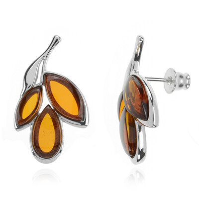 Baltic Amber Silver Earrings (dagen)