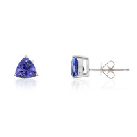 10K AAA Tanzanite Gold Earrings