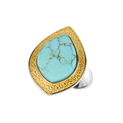 Turquoise Silver Ring (dagen)