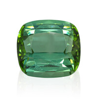 Green Tourmaline other gemstone