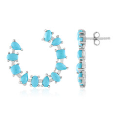 Sleeping Beauty Turquoise Silver Earrings (Faszination Türkis)