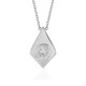 Zircon Silver Necklace (de Melo)