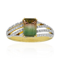 9K Bi Colour Tourmaline Gold Ring