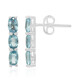 Ratanakiri Zircon Silver Earrings