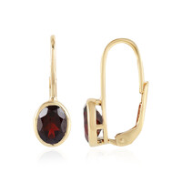 Mozambique Garnet Silver Earrings