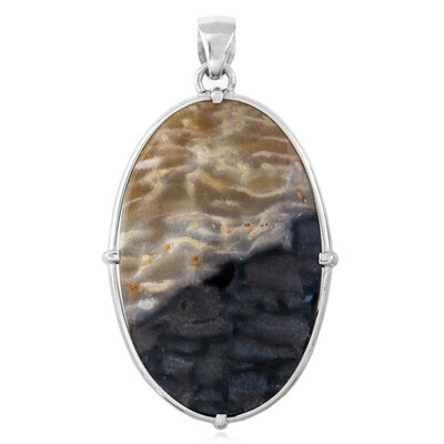 Petrified Wood Silver Pendant