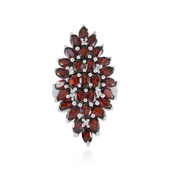 Mozambique Garnet Silver Ring