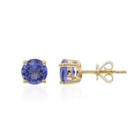 14K AAA Tanzanite Gold Earrings (CIRARI)