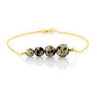 Dalmatian Jasper Silver Bracelet