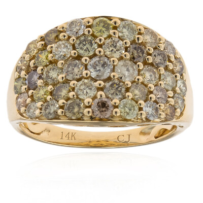 14K SI2 Fancy Diamond Gold Ring (CIRARI)