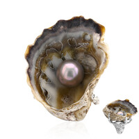 Shell Silver Ring (TPC)