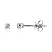 14K I1 (H) Diamond Gold Earrings (CIRARI)