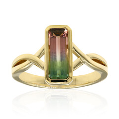 9K Bi Colour Tourmaline Gold Ring