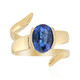 9K Kyanite Gold Ring (de Melo)