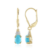 Sleeping Beauty Turquoise Silver Earrings