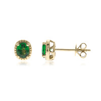 14K AAA Tsavorite Gold Earrings (CIRARI)