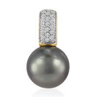 9K Tahitian Pearl Gold Pendant (TPC)