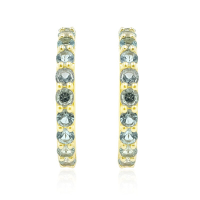 9K Nigerian Paraiba Tourmaline Gold Earrings