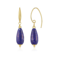 Lapis Lazuli Silver Earrings