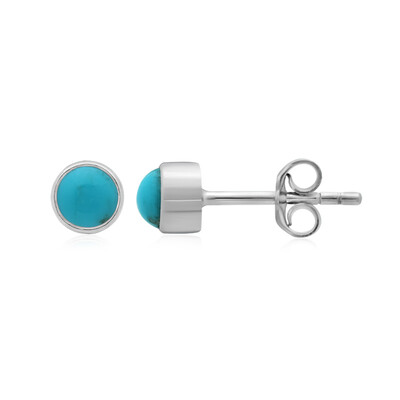 Turquoise Silver Earrings