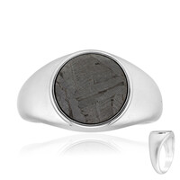 Aletai-Meteorite Silver Ring