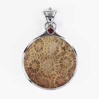 Petrified Coral Silver Pendant